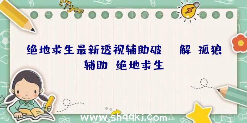 绝地求生最新透视辅助破解、孤狼辅助